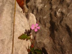 2013-10-08_Guffert (038).JPG